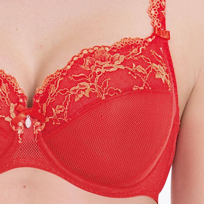 Rosa Faia COLETTE - Bügel-BH Kostenlose Rückgabe