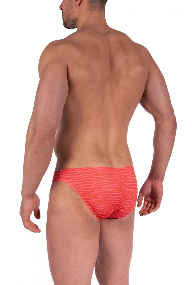 Olaf Benz RED2360 Brazilbrief 2025