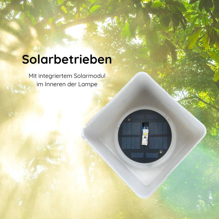 Schwaiger Solar-Tischleuchte mit Trageriemen Tiefpreis
