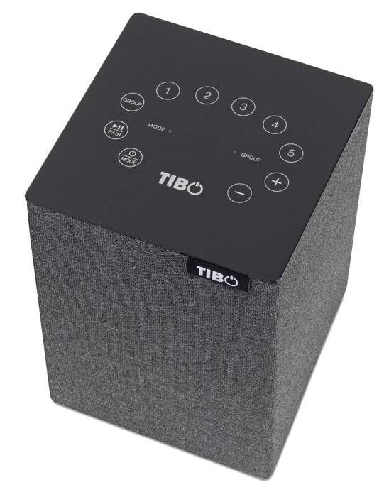 Schwaiger TIBO WiFi Lautsprecher (30 W) Vierteljährliche Förderung