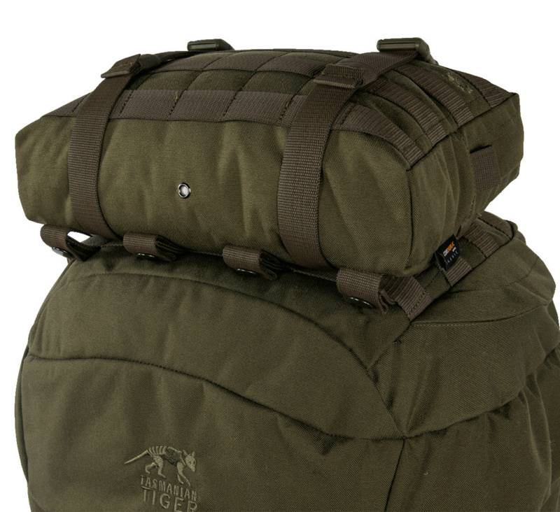 Tasmanian Tiger TT Tac Pouch 10			Rucksack-Zubehörtasche (4L) 2025